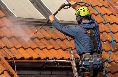 Démoussage et hydrofuge de toiture à Fontaine